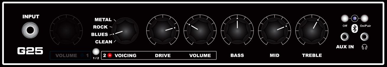 G25 guitar amp Channel 2 Blues Demo 1 knob settings