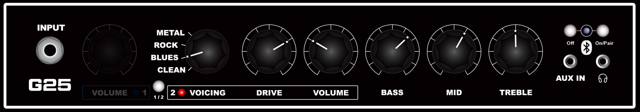 G25 guitar amp Channel 2 Blues Demo 2 knob settings